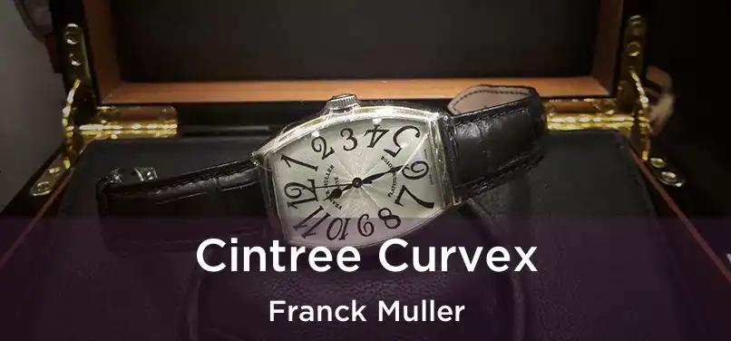  Cintree Curvex Franck Muller
