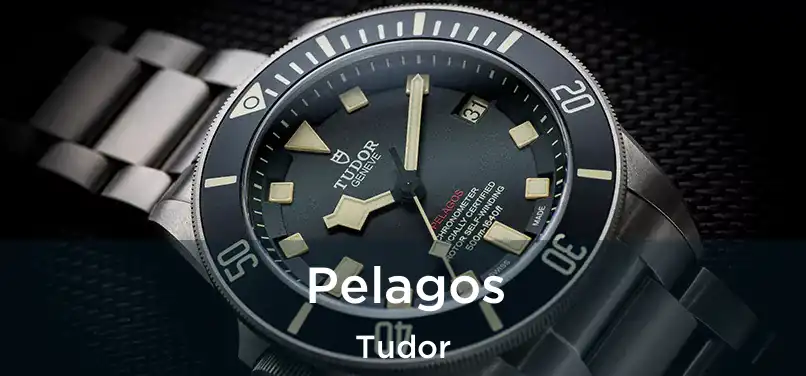  Pelagos Tudor